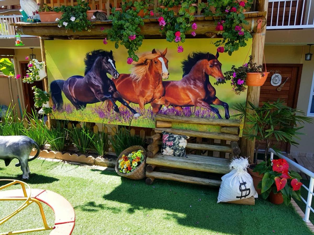 Pousada Alegria Do Cowboy بنها المظهر الخارجي الصورة